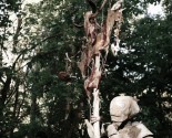 orcspics (14)